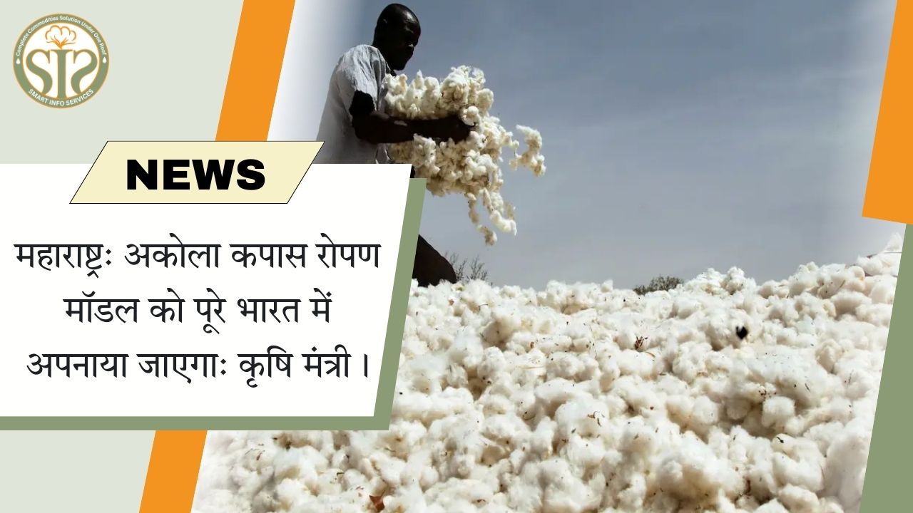 अकोला कपास मॉडल देशभर में लागू होगा: कृषि मंत्री