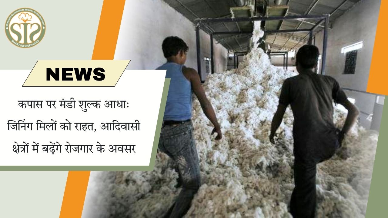 मध्य प्रदेश में कपास मंडी शुल्क आधा, जिनिंग मिलों और आदिवासी रोजगार को मिलेगा बड़ा लाभ