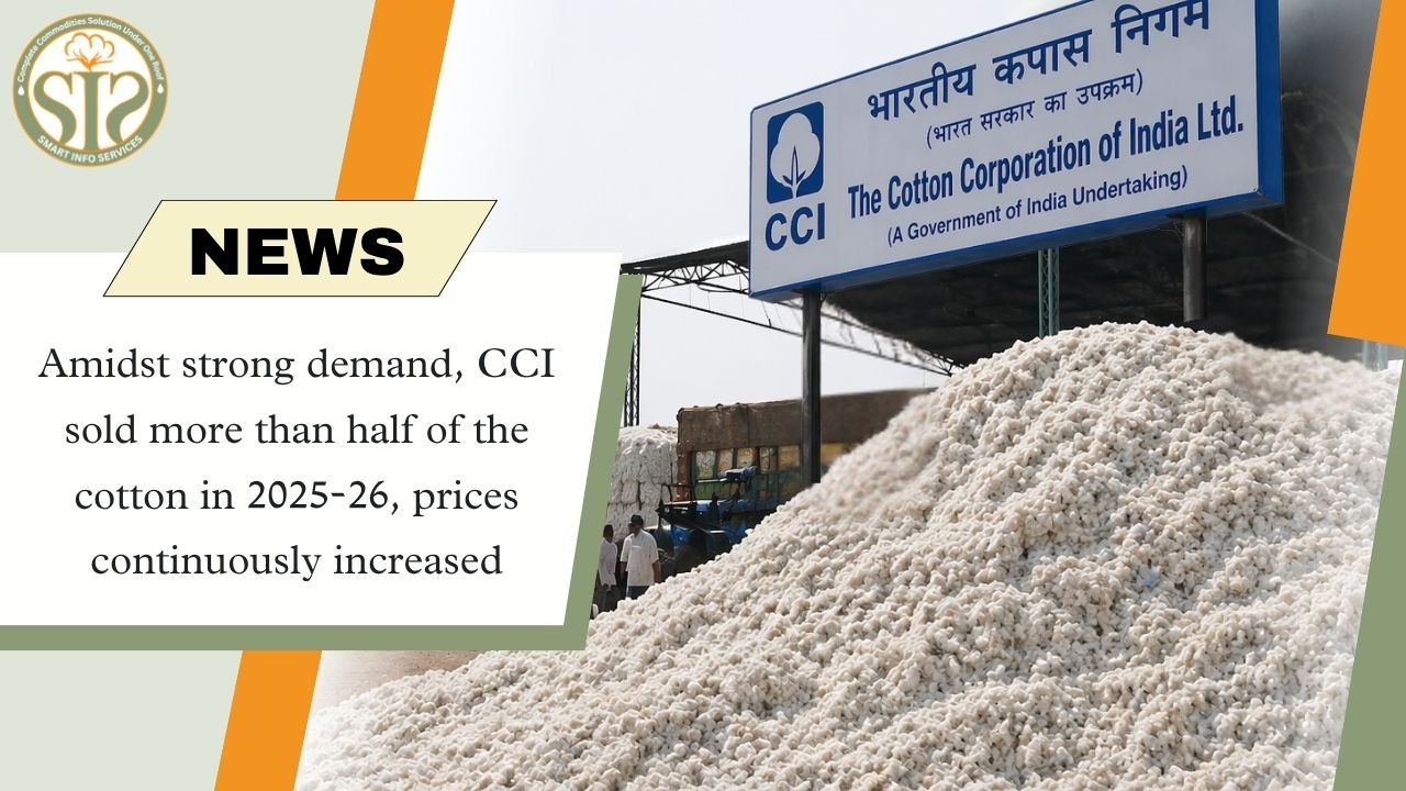 CCI's Cotton Sales Accelerate Amid Strong Demand; Prices Rise