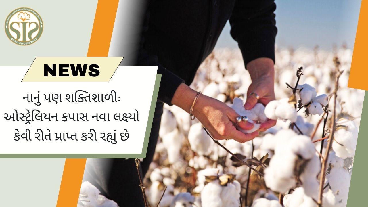 ગુણવત્તાથી ઓસ્ટ્રેલિયન કપાસને વધતી મજબૂતી