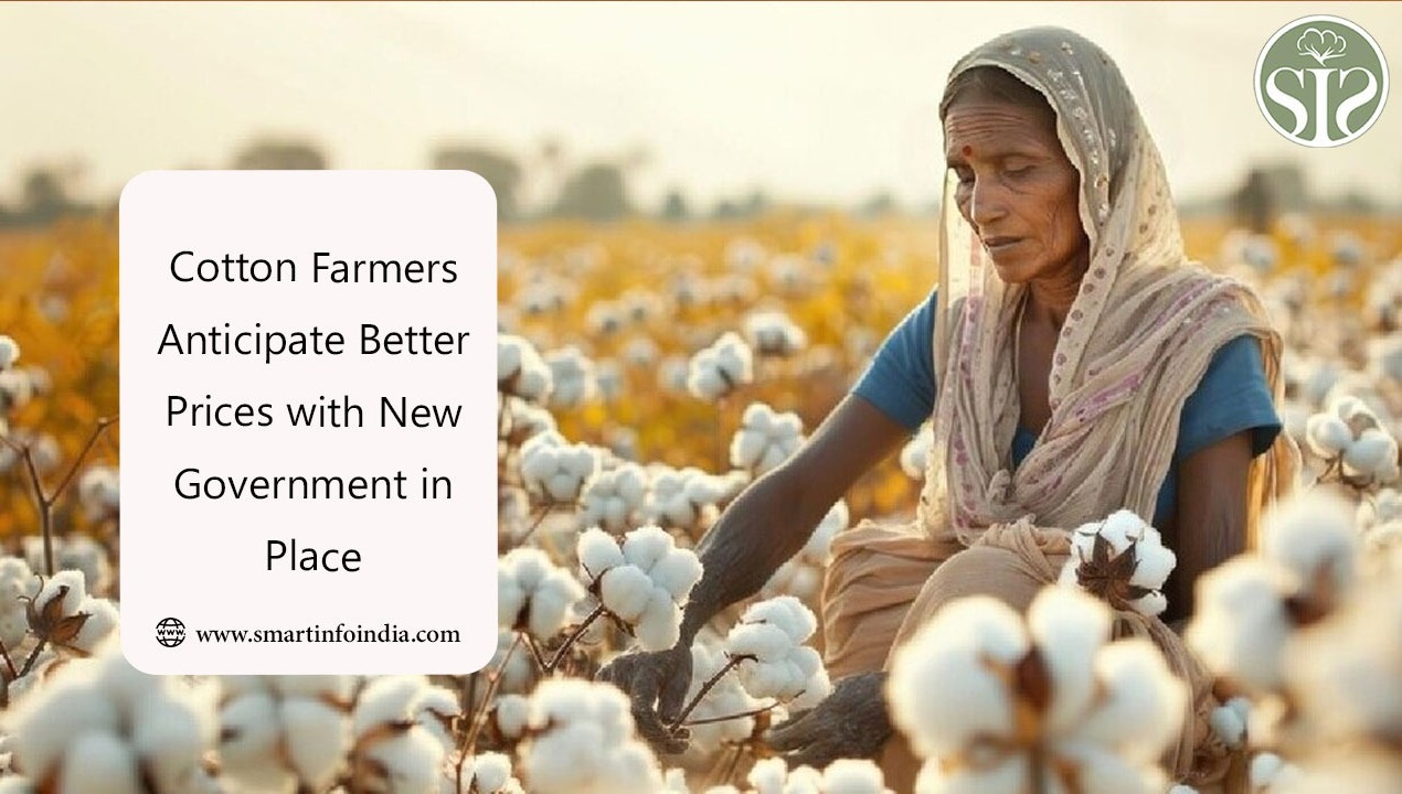 Cotton Farmers Anticipate Better Prices with New Government in Place