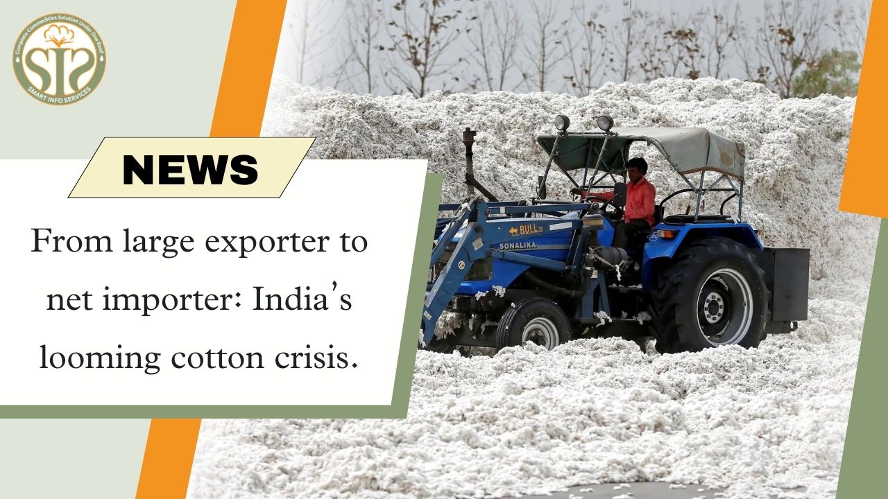 India's cotton crisis: From big exporter to net importer