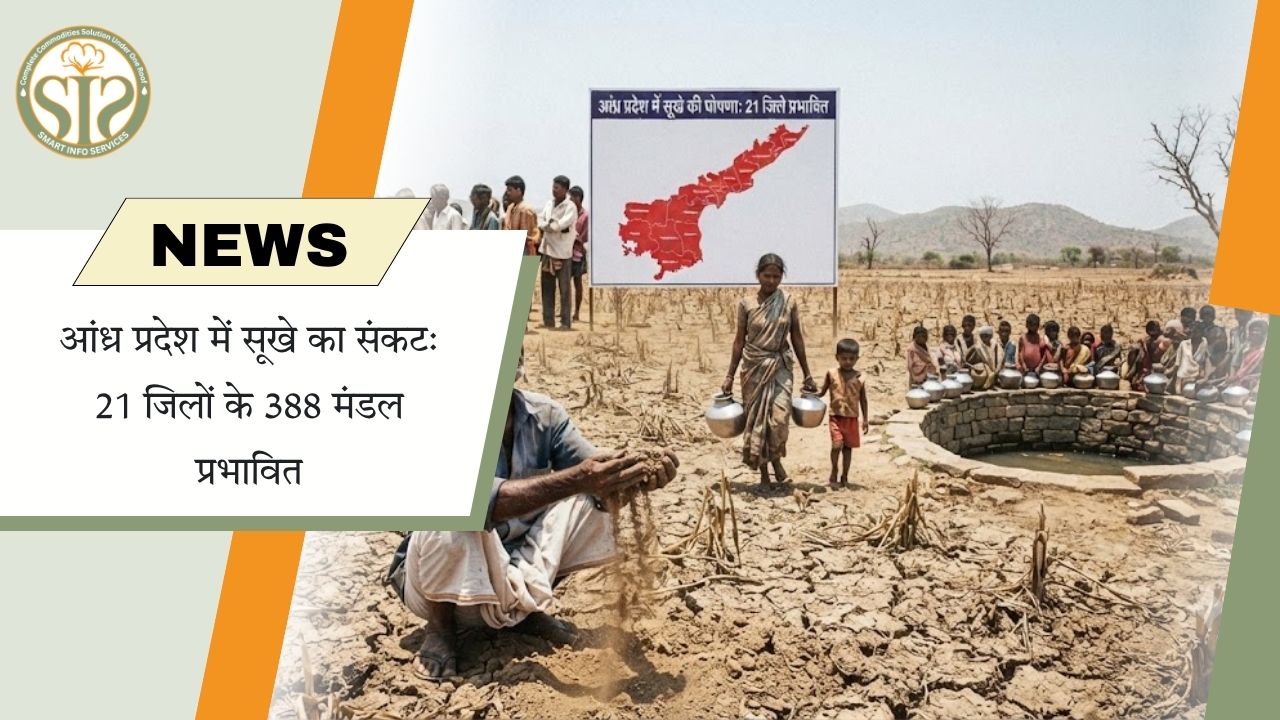 आंध्र प्रदेश के 388 मंडल सूखा प्रभावित