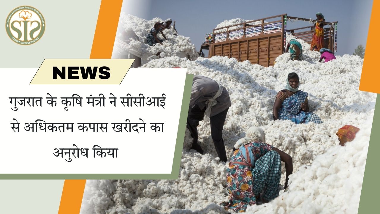 गुजरात कृषि मंत्री ने सीसीआई से अधिक कपास खरीदने की मांग की