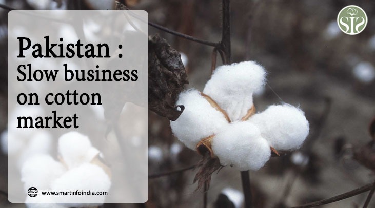 Pakistan: Business slow in cotton market