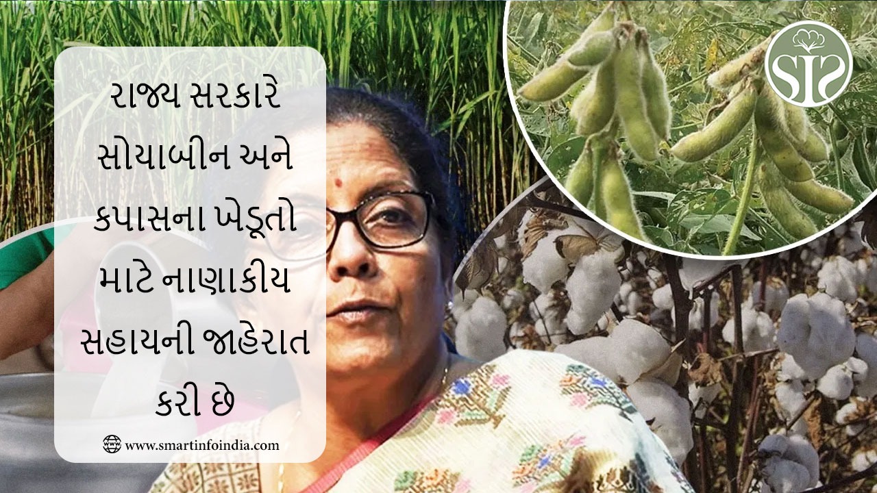 રાજ્ય સરકારે સોયાબીન અને કપાસના ખેડૂતો માટે આર્થિક સહાયની જાહેરાત કરી છે
