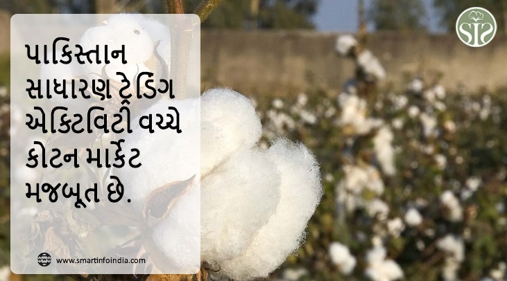 પાકિસ્તાન: કોટન માર્કેટ: સાધારણ વેપાર પ્રવૃત્તિઓ વચ્ચે મજબૂત વલણ