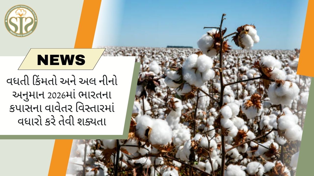 ફુગાવા અને અલ નીનોને કારણે 2026 માં કપાસના વાવેતર વિસ્તારમાં વધારો થવાની સંભાવના છે.