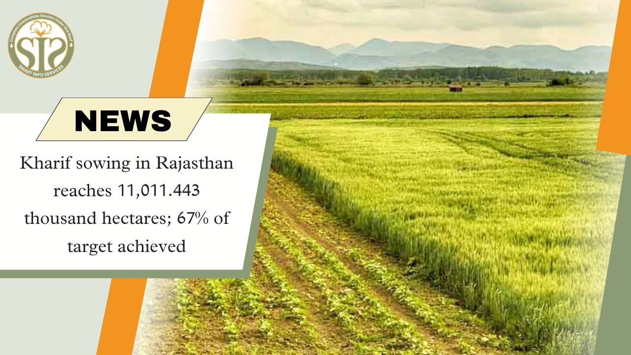 Rajasthan Kharif Sowing Reaches 11,011 Thousand Hectares, 67% of Target Achieved