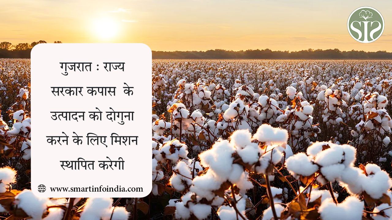 गुजरात : राज्य सरकार कपास  के उत्पादन को दोगुना करने के लिए मिशन स्थापित करेगी