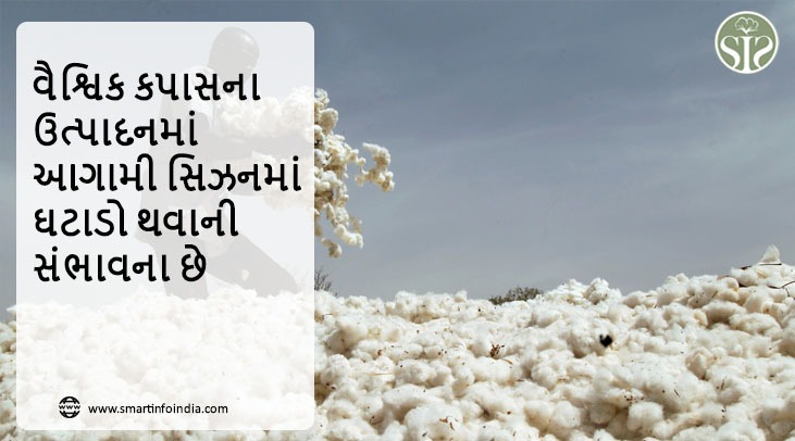 આગામી સિઝનમાં વૈશ્વિક કપાસના ઉત્પાદનમાં ઘટાડો થવાની સંભાવના છે