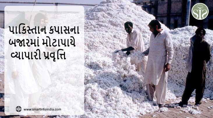 પાકિસ્તાન કપાસ બજાર પર ખૂબ જ વ્યાવસાયિક પ્રવૃત્તિ