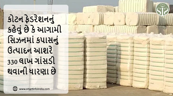 કોટન ફેડરેશનનું કહેવું છે કે આગામી સિઝનમાં કપાસનું ઉત્પાદન આશરે 330 લાખ ગાંસડી થવાની ધારણા છે