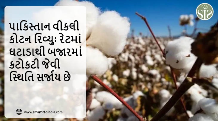 પાકિસ્તાન વીકલી કોટન રિવ્યુઃ રેટમાં ઘટાડાથી બજારમાં કટોકટી જેવી સ્થિતિ સર્જાય છે