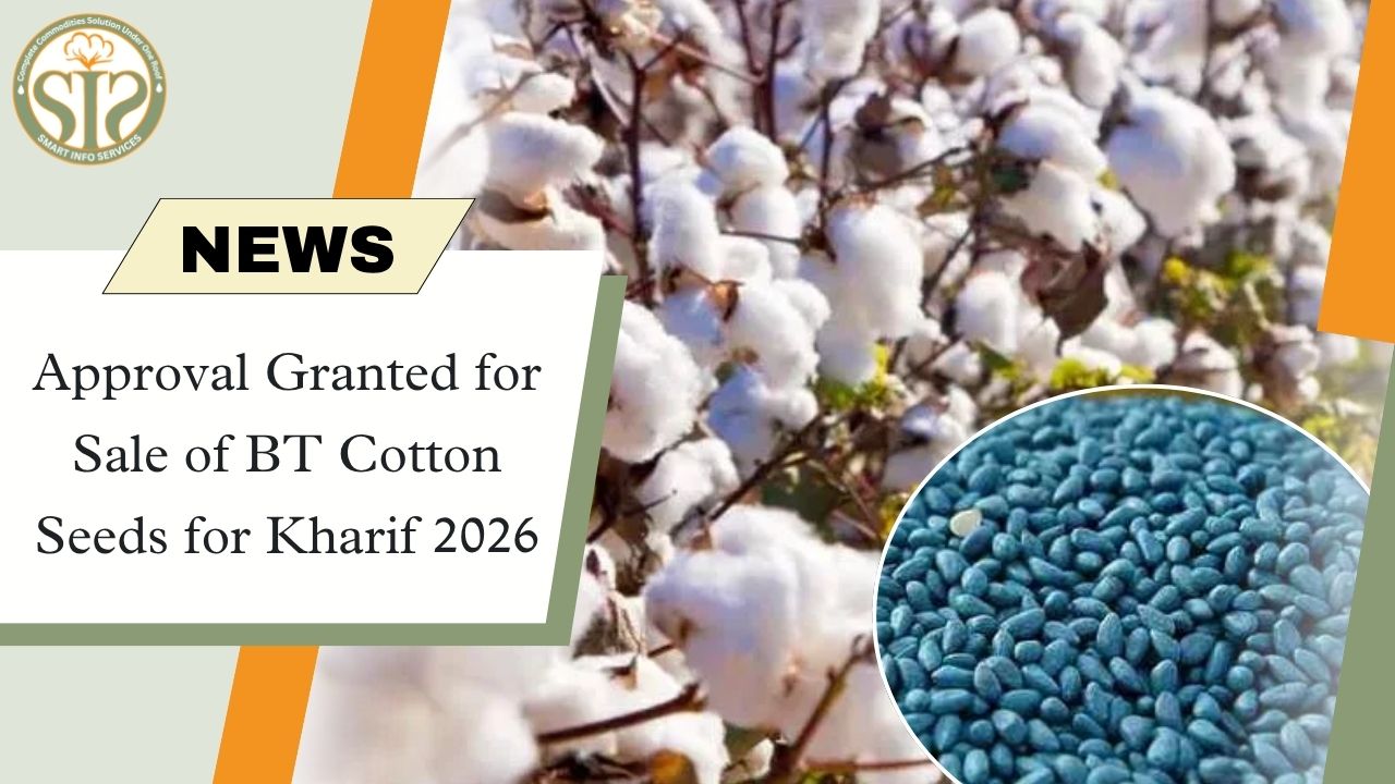Relief for Farmers: Green Signal for Sale of BT Cotton Seeds in Kharif 2026
