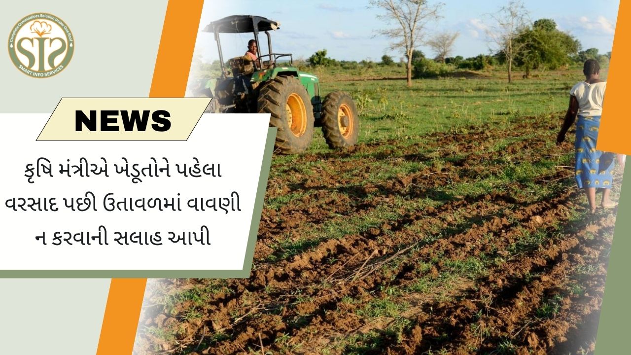 પ્રથમ વરસાદ બાદ ઉતાવળે વાવેતર નહીં