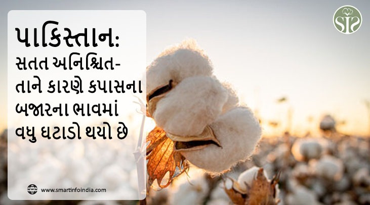 પાકિસ્તાન: સતત અનિશ્ચિતતાને કારણે કપાસના બજારના ભાવમાં વધુ ઘટાડો થયો છે