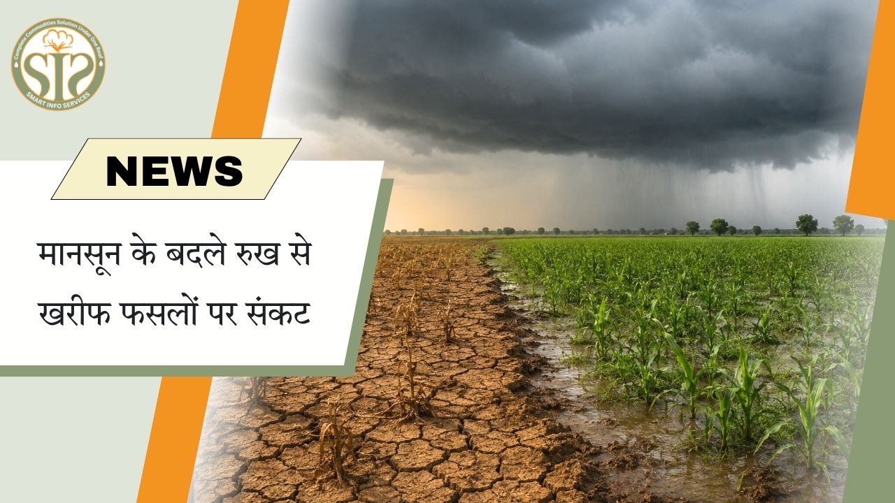 कमजोर मानसून से खरीफ फसलों पर खतरा.