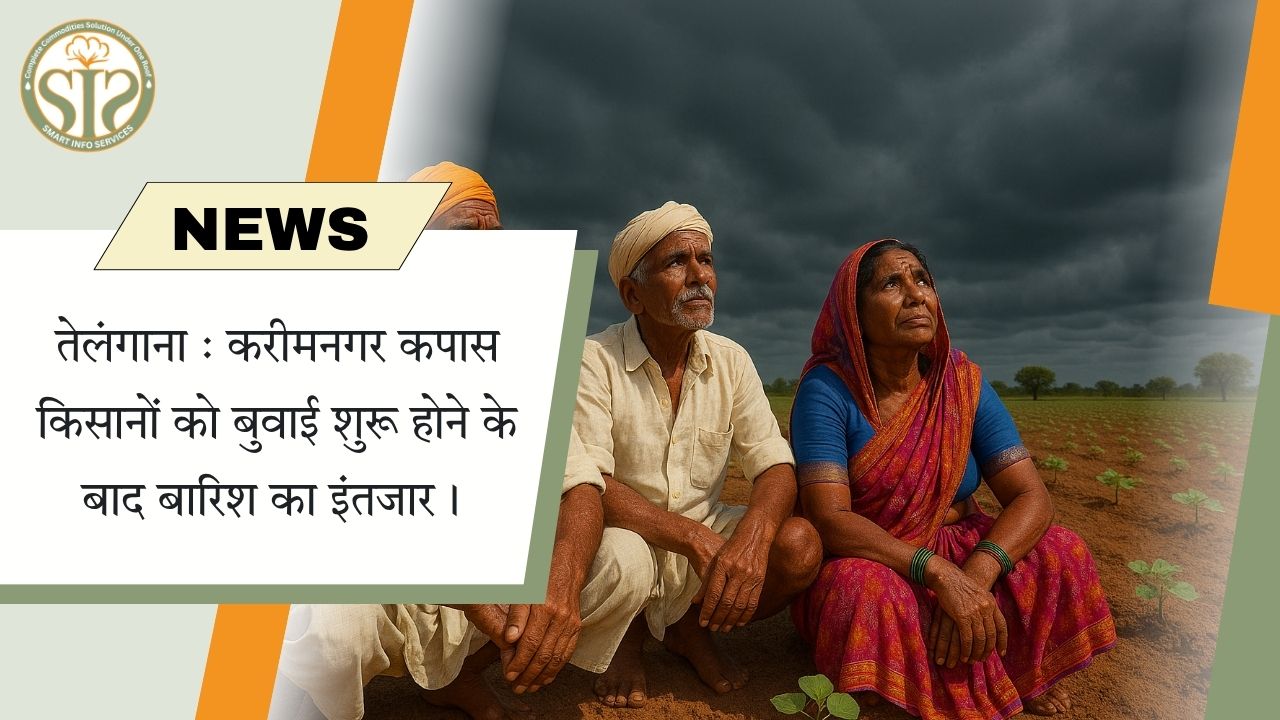 तेलंगाना : करीमनगर कपास किसानों को बुवाई शुरू होने के बाद बारिश का इंतजार।