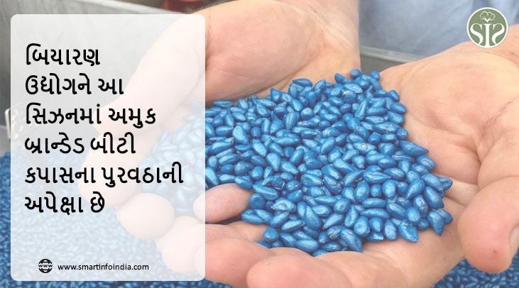 બિયારણ ઉદ્યોગને આ સિઝનમાં અમુક બ્રાન્ડેડ બીટી કપાસના પુરવઠાની અપેક્ષા છે