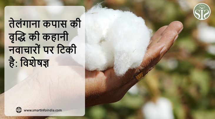 तेलंगाना कपास की वृद्धि की कहानी नवाचारों पर टिकी है: विशेषज्ञ