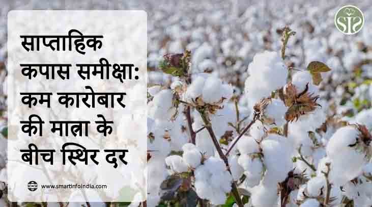 Weekly Cotton Review: Rates steady amid low trading volume