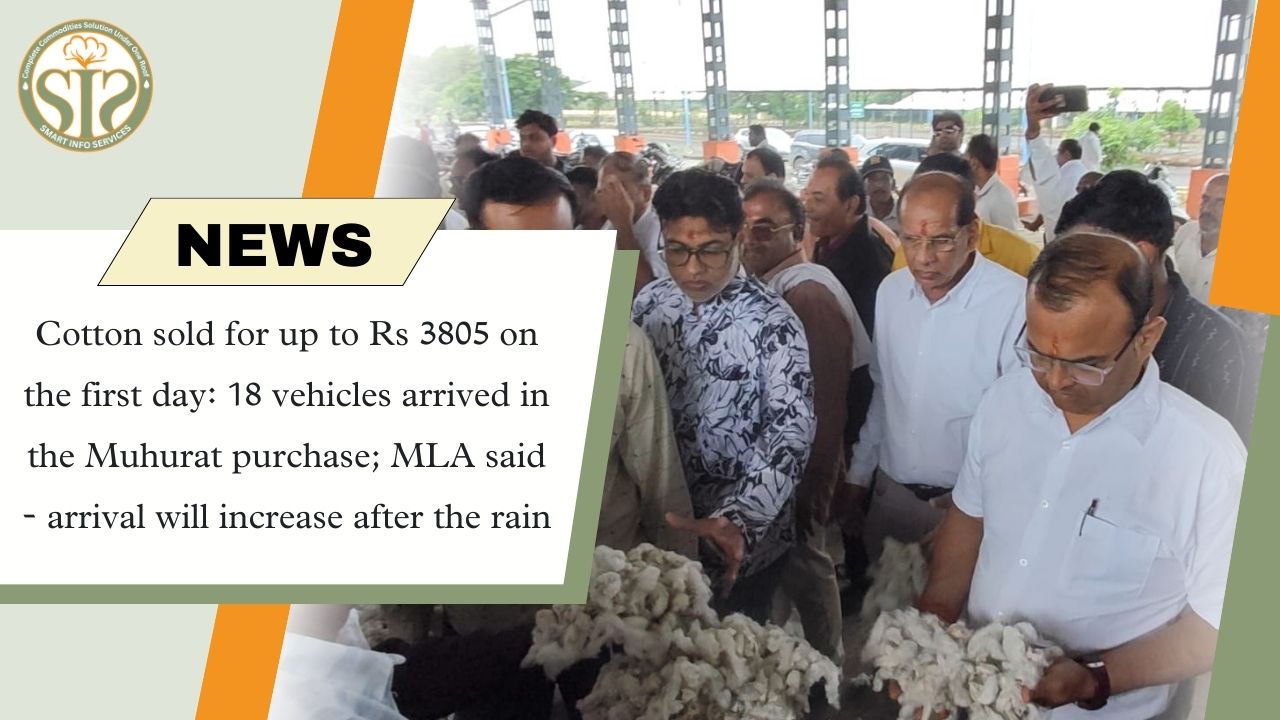 Cotton sold for Rs. 3805, 18 vehicles arrived in Muhurat sale