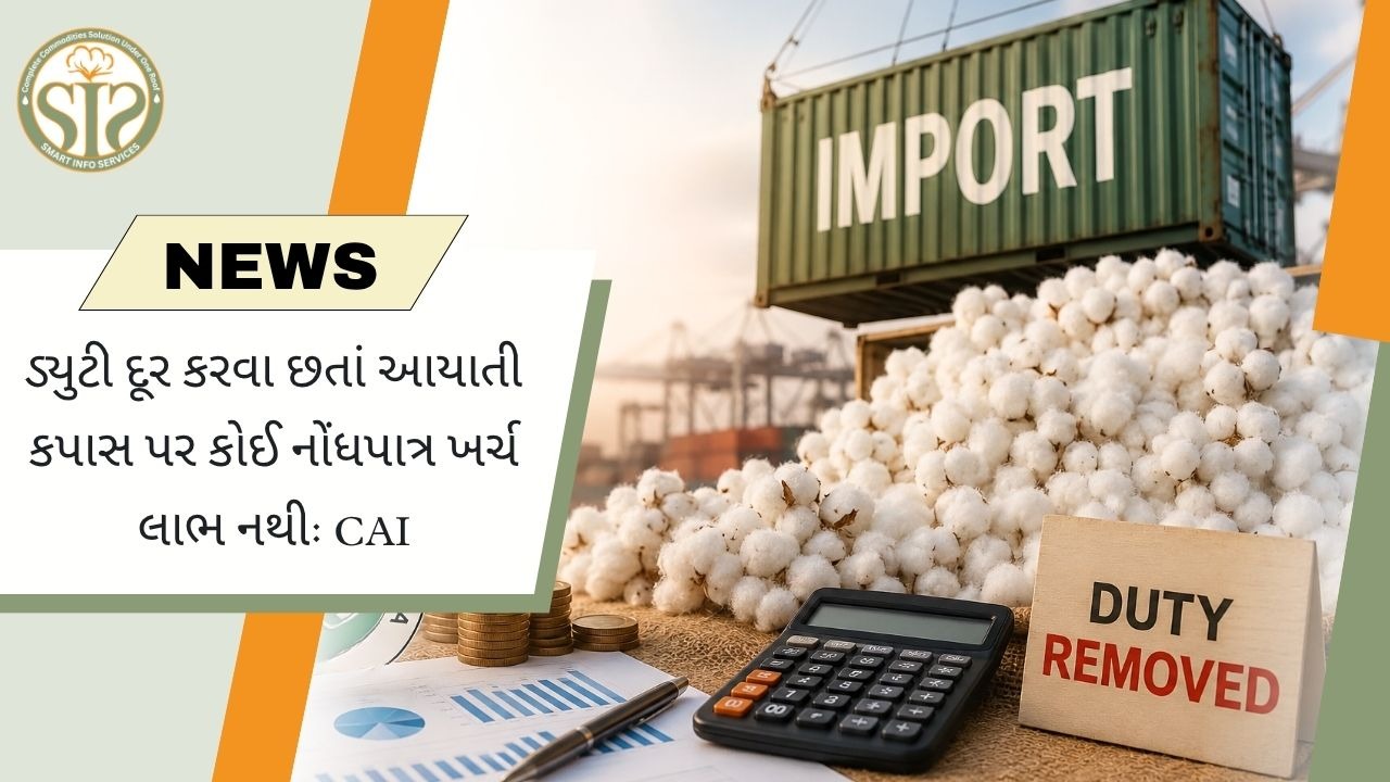 આયાતી કપાસમાં ખર્ચનો લાભ નહીં