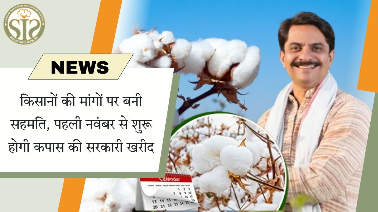 किसानों से सहमति, 1 नवंबर से कपास की सरकारी खरीद शुरू