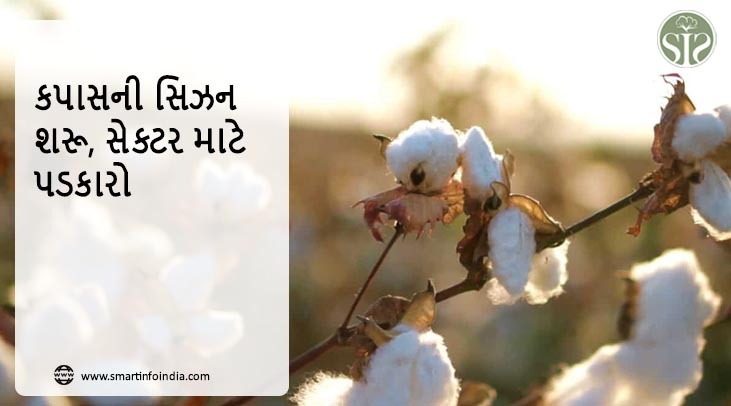 કપાસની સિઝન શરૂ, સેક્ટર માટે પડકારો
