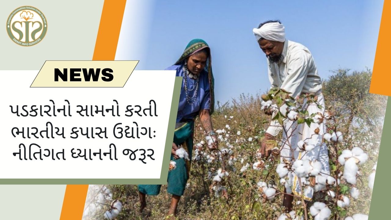 "ભારતીય કપાસ કટોકટી નીતિગત કાર્યવાહીની માંગ કરે છે"