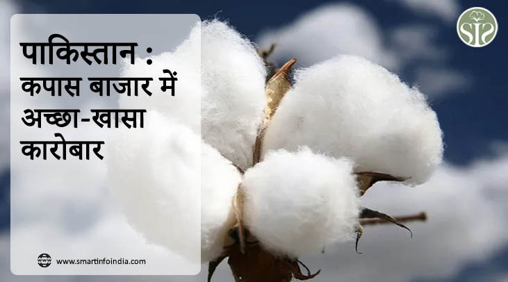 पाकिस्तान : कपास बाजार में अच्छा-खासा कारोबार