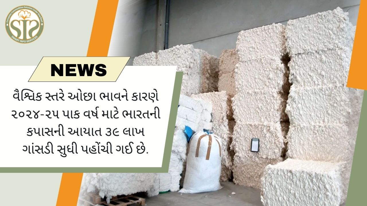 2024-25 માં ભારતની કપાસની આયાત 39 લાખ ગાંસડીના રેકોર્ડ સ્તરે પહોંચવાની ધારણા છે.