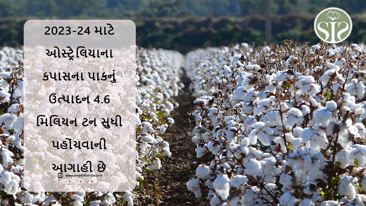 ઓસ્ટ્રેલિયામાં કપાસના પાકનું ઉત્પાદન 2023-24માં 4.6 મિલિયન ટન સુધી પહોંચવાનો અંદાજ છે