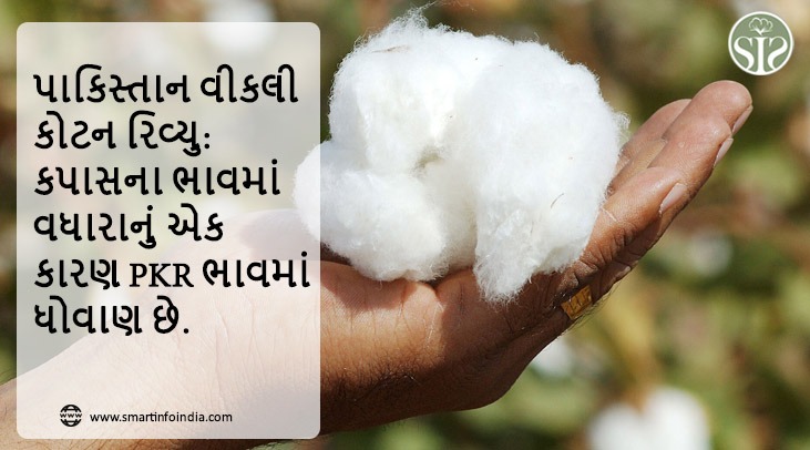 *પાકિસ્તાન વીકલી કોટન રિવ્યુ: કપાસના ભાવમાં વધારો થવાનું એક કારણ PKR ભાવ ધોવાણ છે.*