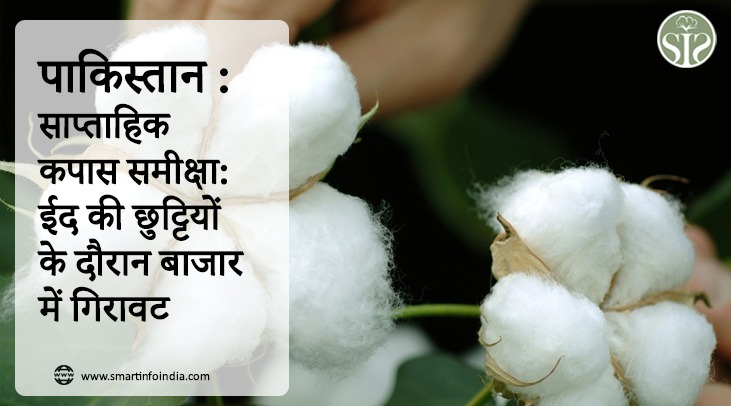 पाकिस्तान : साप्ताहिक कपास समीक्षा: ईद की छुट्टियों के दौरान बाजार में गिरावट