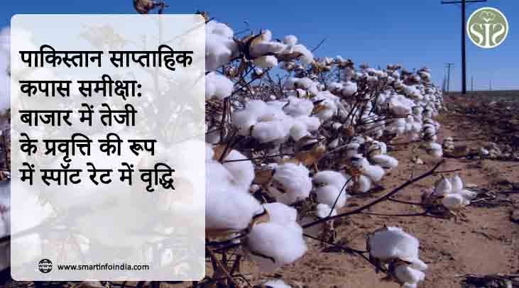 पाकिस्तान साप्ताहिक कपास समीक्षा: बाजार में तेजी के प्रवृत्ति की रूप में स्पॉट रेट में वृद्धि