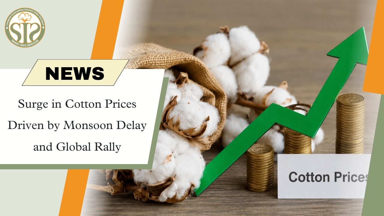 Surge in Cotton Prices Driven by Monsoon Delay and Global Rally