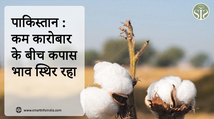 पाकिस्तान : कम कारोबार के बीच कपास भाव स्थिर रहा