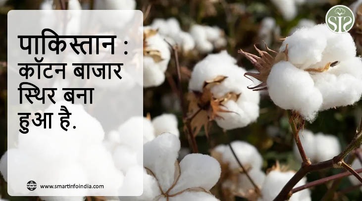 पाकिस्तान : कॉटन बाजार स्थिर बना हुआ है.
