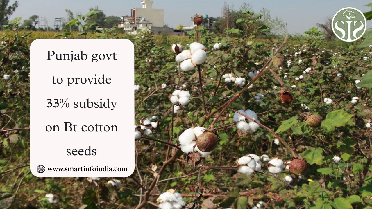 Punjab govt to provide 33% subsidy on Bt cotton seeds