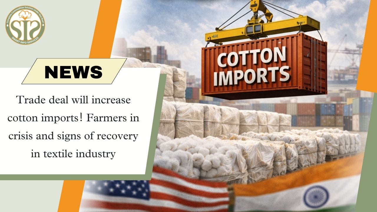 Cotton import increased due to trade deal, farmers in trouble, slight relief in textile sector