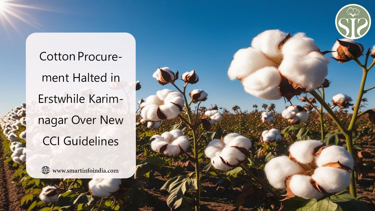 Cotton Procurement Halted in Erstwhile Karimnagar Over New CCI Guidelines