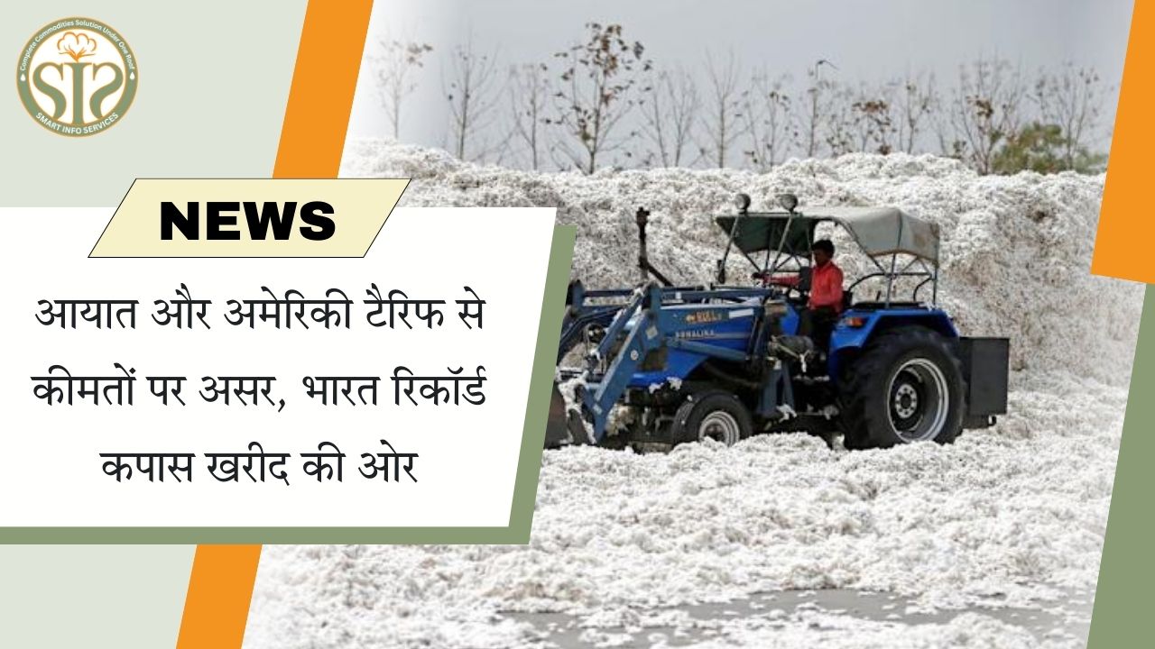 अमेरिकी टैरिफ का असर, भारत की रिकॉर्ड कपास खरीद