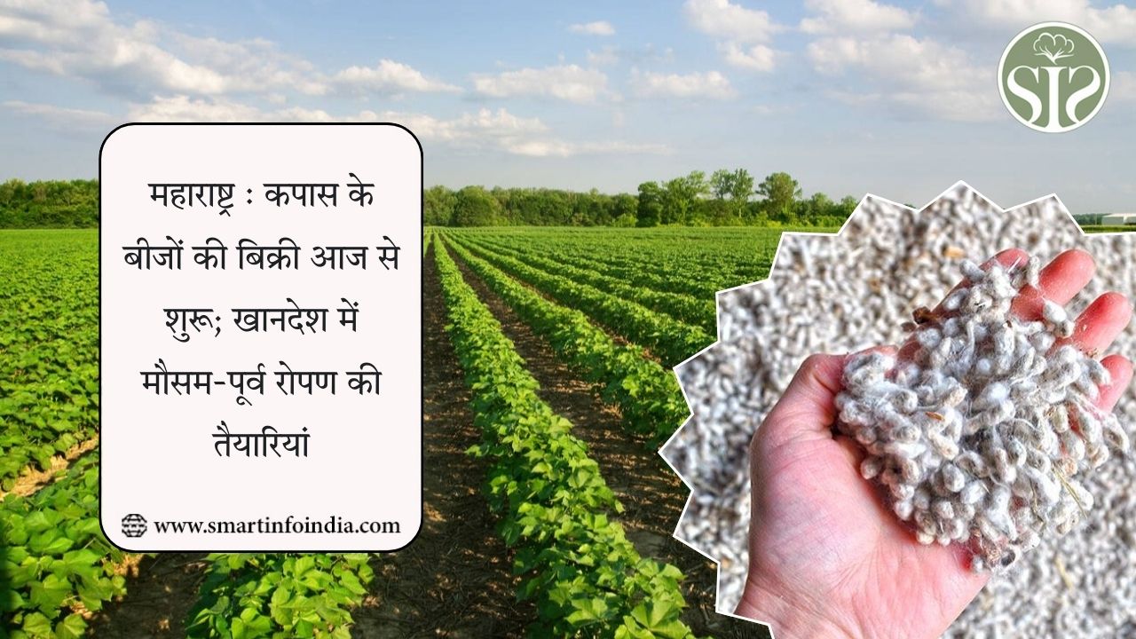 महाराष्ट्र : कपास के बीजों की बिक्री आज से शुरू; खानदेश में मौसम-पूर्व रोपण की तैयारियां