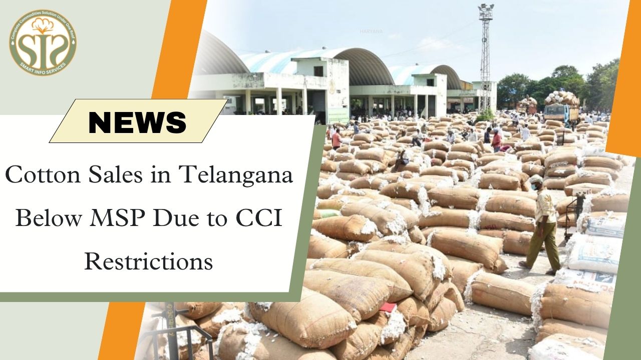 Cotton Sales in Telangana Below MSP Due to CCI Restrictions