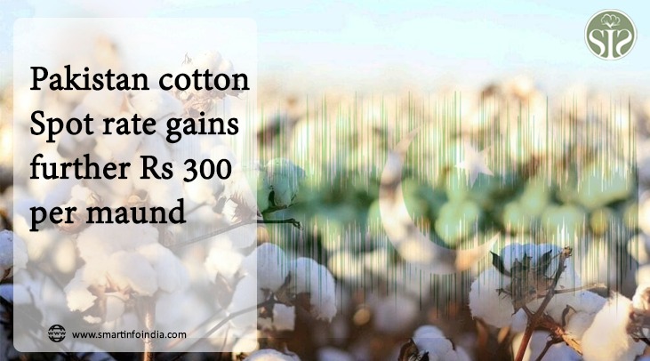Pakistan cotton Spot rate gains further Rs 300 per maund