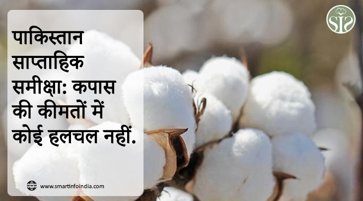 पाकिस्तान साप्ताहिक समीक्षा: कपास की कीमतों में कोई हलचल नहीं.