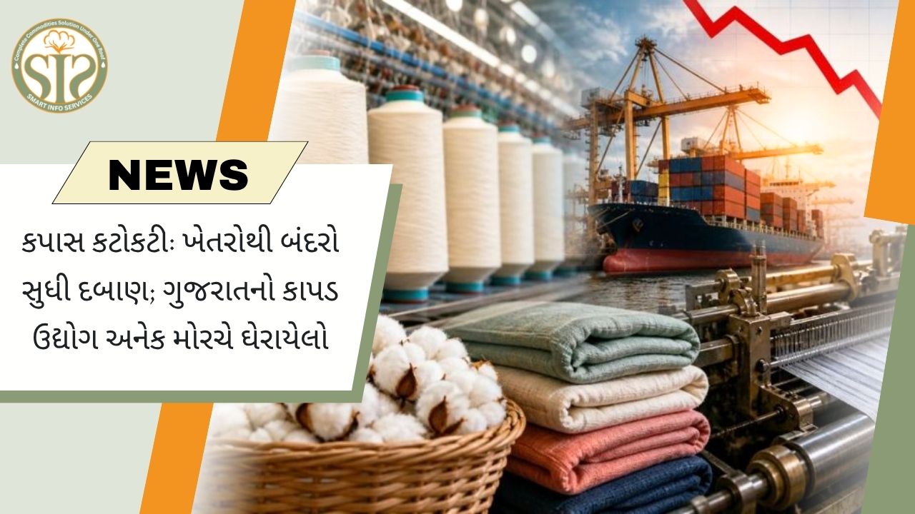 ગુજરાતમાં કપાસનું સંકટ ઘેરાયું, વધતા ખર્ચ અને નબળી માંગથી ટેક્સટાઇલ ઉદ્યોગ પર દબાણ