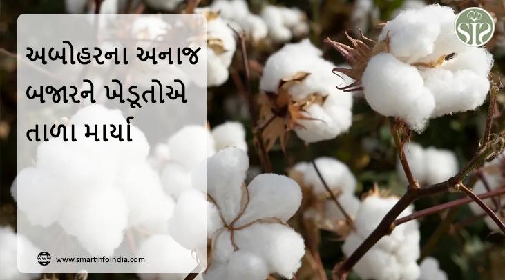 અબોહરના અનાજ બજારને ખેડૂતોએ તાળા માર્યા
